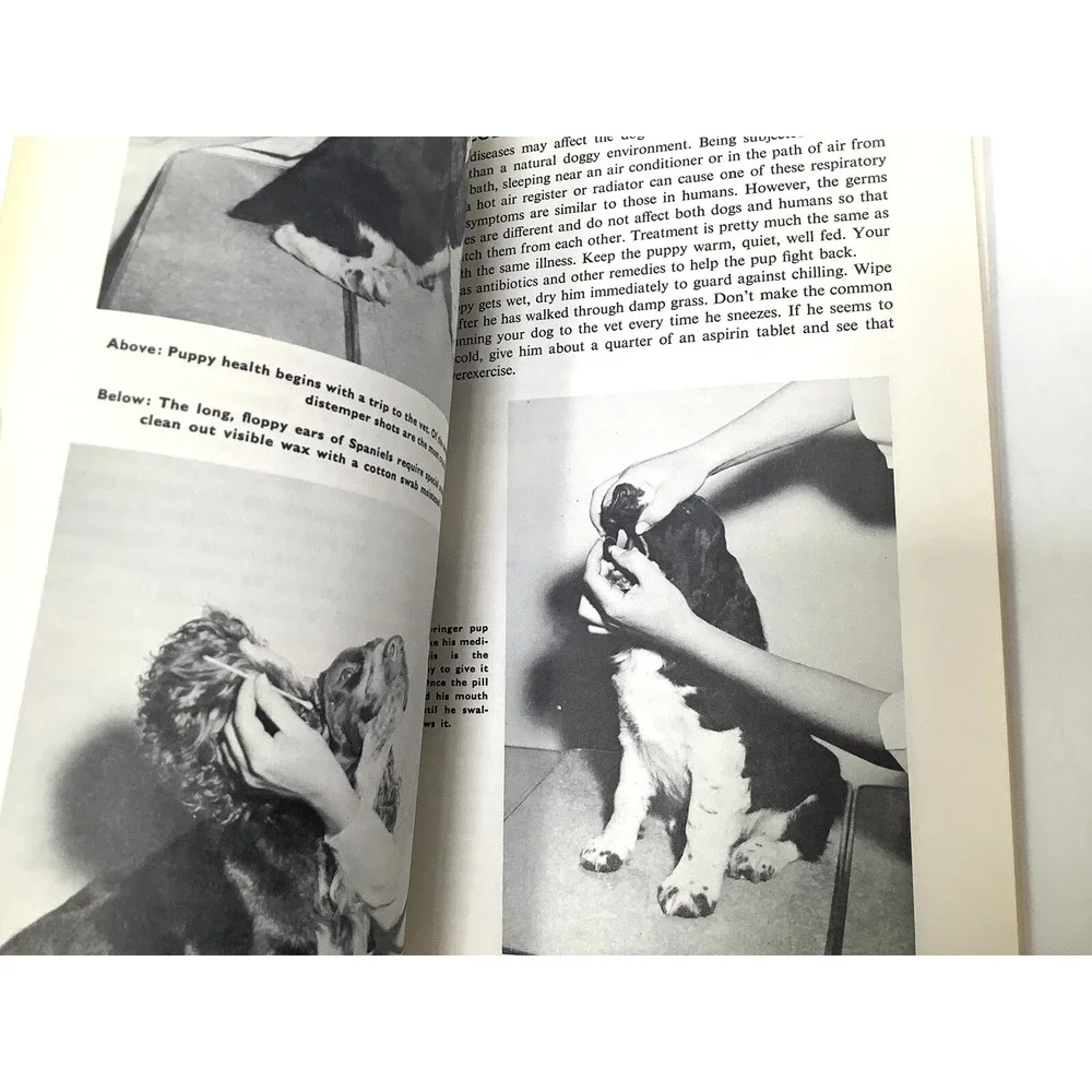 Vtg How to raise and train an English Springer Spaniel‎ Book Robert Gannon 1961